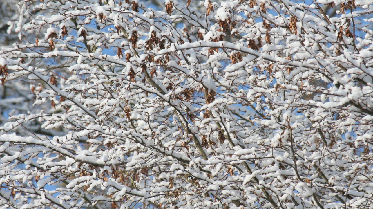 Vague de froid : Romecjko présentateur météo sur France 3 aborde les éco-gestes !