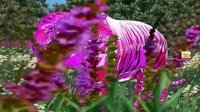 Finger Family Colors 3D Tiger Cartoons For Children Nursery Rhymes | Animals Cartoons for Babies