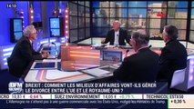 Brexit: Comment les milieux d'affaires vont-ils gérer le divorce entre l'UE et le Royaume-Uni ? - 20/01