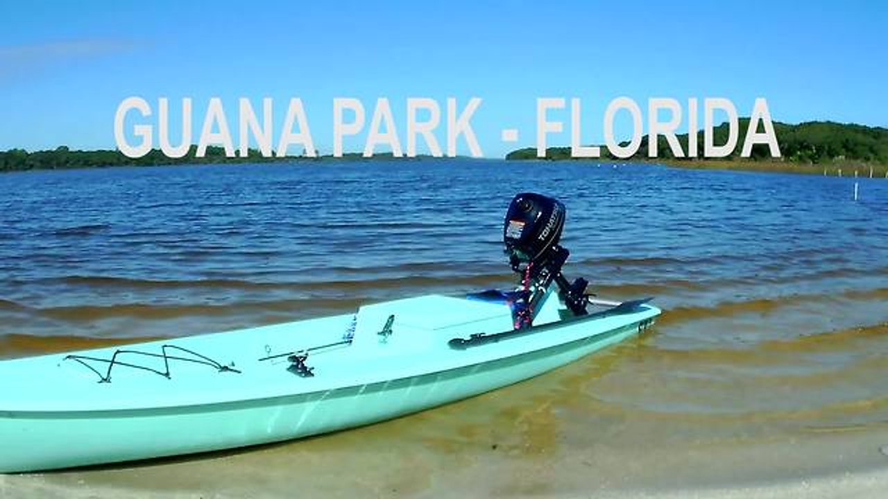 Massive alligator tries to attack powered kayak video Dailymotion