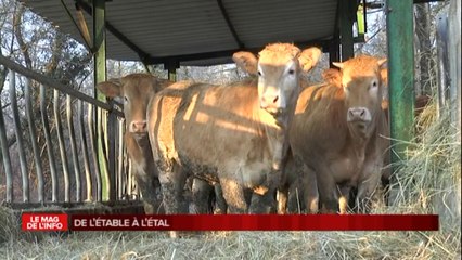 Le mag de l'info - Circuits courts