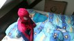 PREGNANT FROZEN ELSA vs SPIDERMAN vs BABIES! w/ Pink Spidergirl Twins Joker Maleficent Superheroes
