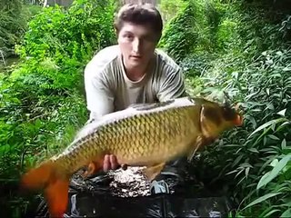 Dapat Ikan Mas Besar, Mancing mania mantap