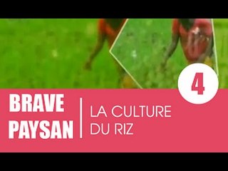 Brave Paysan /  La culture du riz (1ere partie)