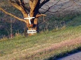 Wife Killed in Crash - No Seatbelt