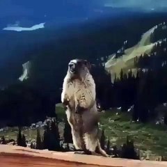 can ım sıkılınca yapmak istediğim