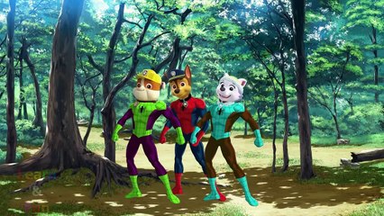 Paw Patrol Spiderman Finger Family Songs Daddy Finger Family Nursery Rhymes Lyrics for Kids