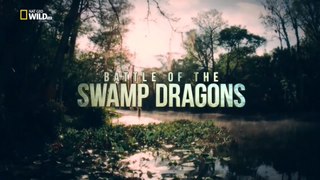 Битва болотных драконов / Battle of the Swamp Dragons (2017) HD