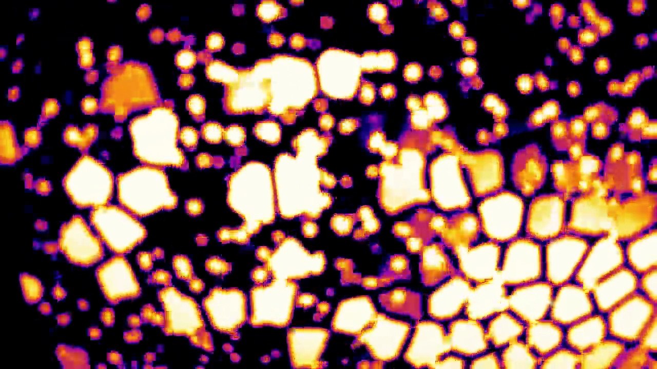 NEW!! - 'Save Tonight ' - by Oliver Laughton