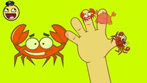 Kids Song | 2D Crab Finger Family Video | Nursery Rhymes Songs for Babies