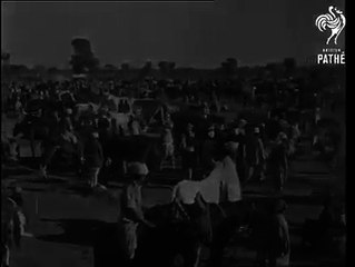 Must-Watch Educational Content 📚