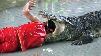Pattaya Thailand Crocodile Farm 2011 .This man sticks his arm in a Crocodile sto