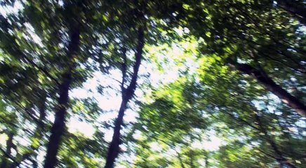 Stargate Atlantis S02 E12   Epiphany