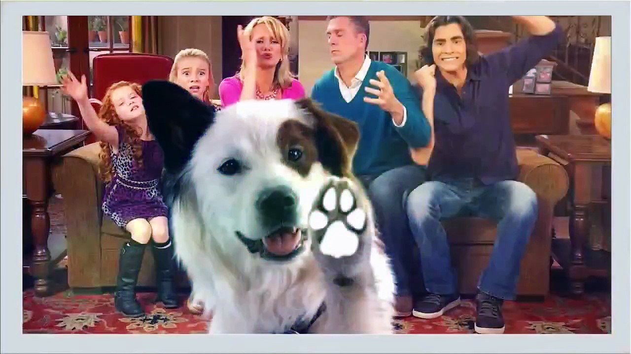 Dog With A Blog S03 E23 Avery Starts Driving Dailymotion Video