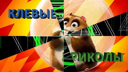 Смешные фото приколы демотиваторы №3