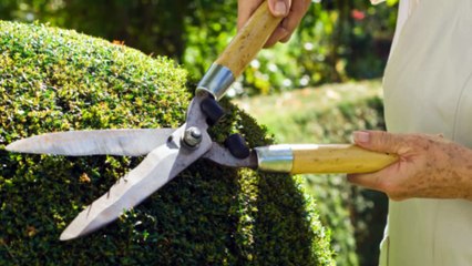 Big foot Landscaping and Maintenance - (406) 559-3054