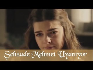 Şehzade Mehmet Uyanıyor - Muhteşem Yüzyıl 75.Bölüm