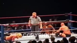 Old Video Shows Referee & WWE Wrestler Triple H Brutally Attack A Fan Who Sneaks Up On Stone Cold!
