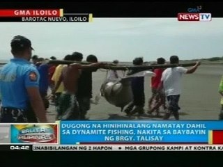 Dugong na hinihinalang namatay dahil sa dynamite fishing, nakita sa baybayin ng Brgy. Talisay