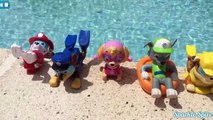 Paw Patrol Paddlin Pup and Squirters at Pool Party Bath Toys Underwater Rescue Marshal, Skye, Chase