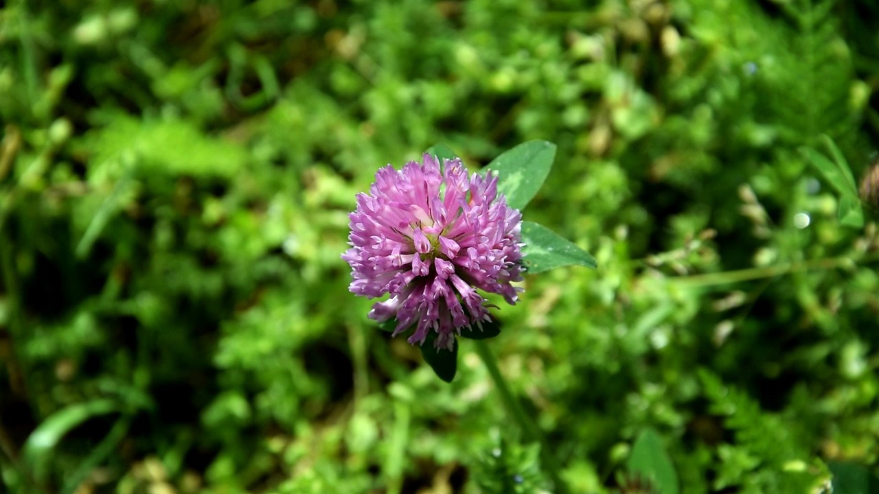 mobilne Strony internetowe stronymt.pl strony lata