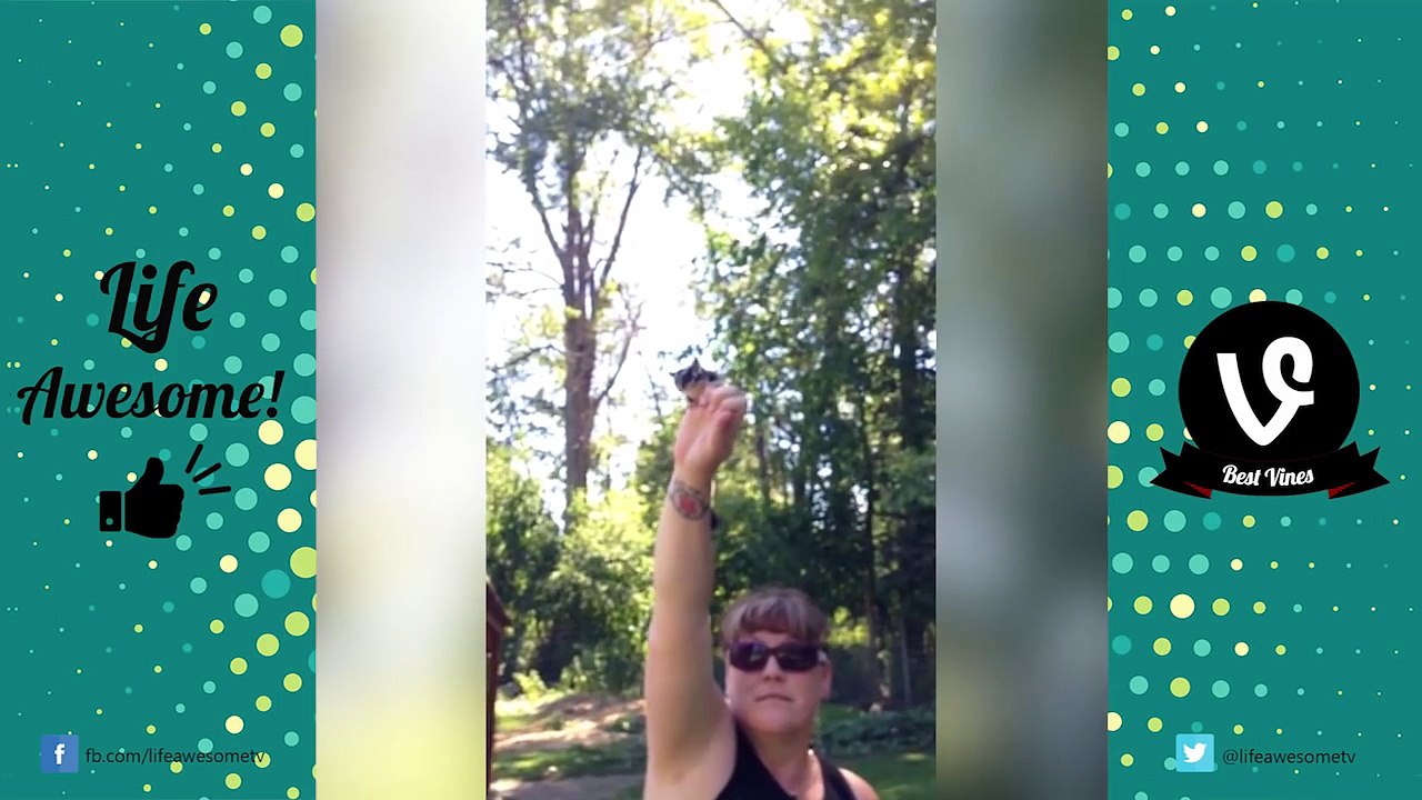 (IMPOSSIBLE CHALLENGE)