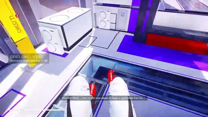 Mirrors edge (27)