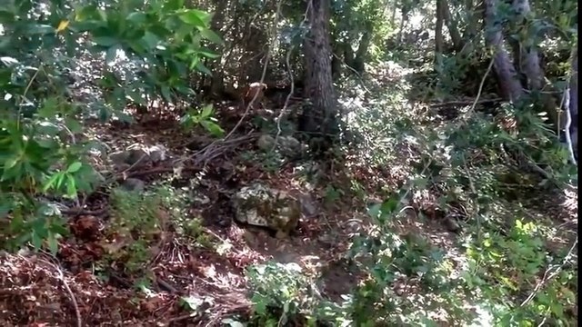 बिष्णु माझिको नयाँ दोहोरी गित @ New Nepali lok Dohori Song 2016 @ Gham Ra Jun By Bishnu Majhi