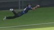 Best Catches in Cricket History- All Time Amazing Catches ! Must Watch
