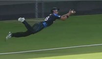 Best Catches in Cricket History- All Time Amazing Catches ! Must Watch