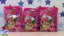 MY LITTLE PONY WAVE 13 Blind Bags Opening NEW Sweet Apple Acres Surprise Egg & Toy Collector SETC