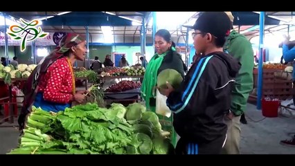 Badri Pangeni Live Dohori in Pokhara - बद्रिले तताय पोखरा - NEW HD - बबाल दोहोरी