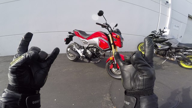 MC Commute - 2017 Honda Grom