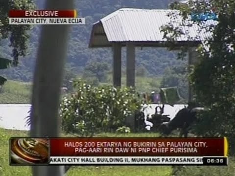 Halos 200 ektarya ng bukirin sa palayan city, pag-aari rin daw ni PNP Chief Purisima