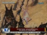 24Oras: Puting paniki, natagpuan ng mga dalubhasa sa isang kweba