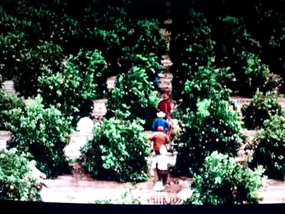 Richard Pryor which way is up_ Funniest movie ever!