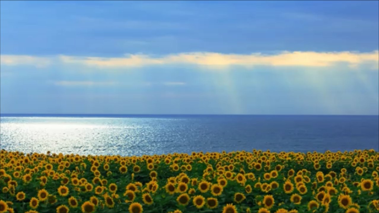 【Healing Cafe】 優しく慈しむストリングス曲 #30  「水平線に浮かぶ雲」 Gently Cherishing Strings Music "Clouds floating on the horizon"