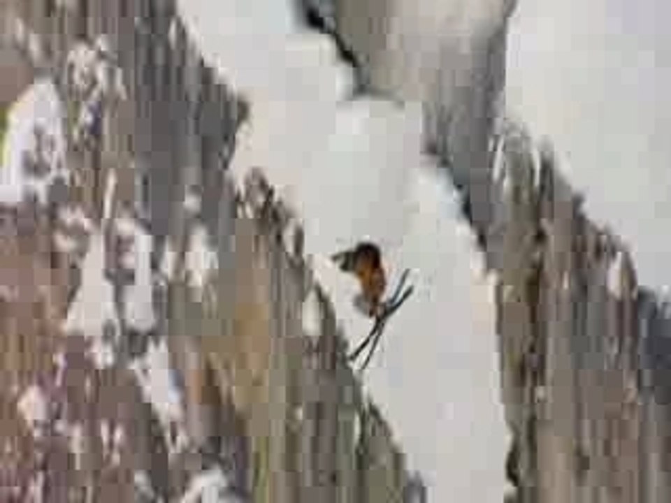 VIdeo 1 di Jamie Pierre