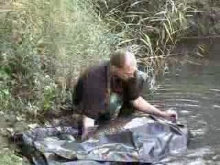 Ancien record du monde, Carpe commune 34.5kg