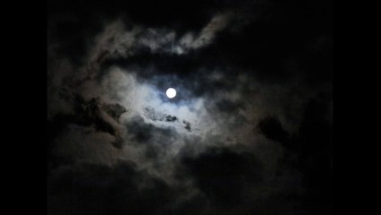 Dear,世界一かっこいいあなたへ!!～Cher,Le monde le plus frais Vous!!～