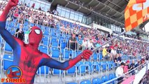 Spiderman WINS Car Racing? Spider-man VR Glasses at Real Car Race WIN - Superhero Fun 4K Superheroes
