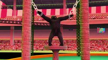 Crazy Color Gorilla Finger Family Rhymes | Gorilla Rhymes Compilation | Gorilla vs Dinosaurs Fight