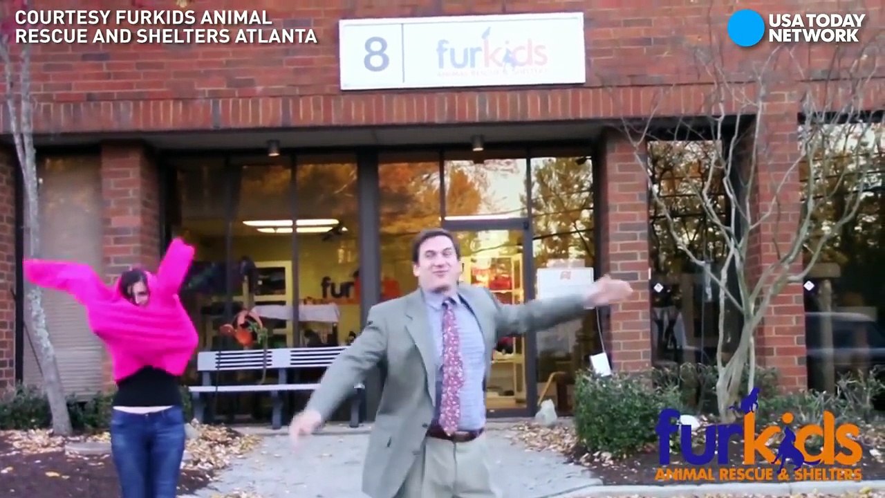 We found the best place to adopt a pet from-bNuFKVvkQO0