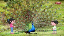 Peacock Rhyme | Bird Rhymes for Children | Nursery Rhymes for Kids | Most Popular Rhymes HD