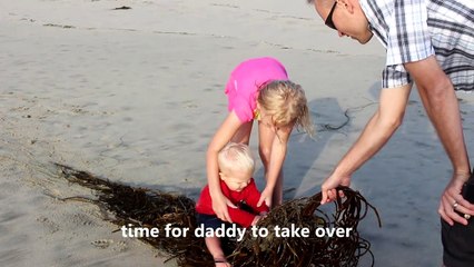 Seaweed Sled-SQiFaR7mSLY