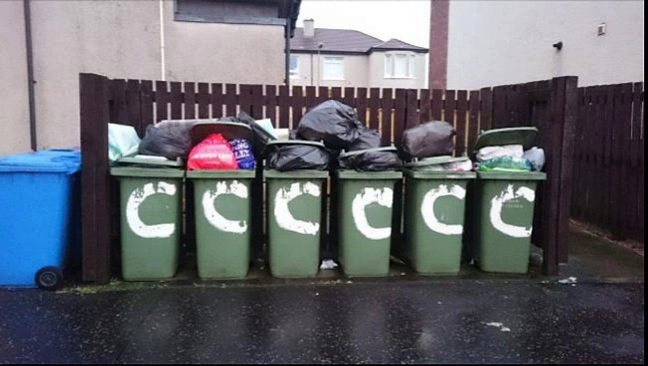 Refuse collections backed up as department in ‘meltdown’
