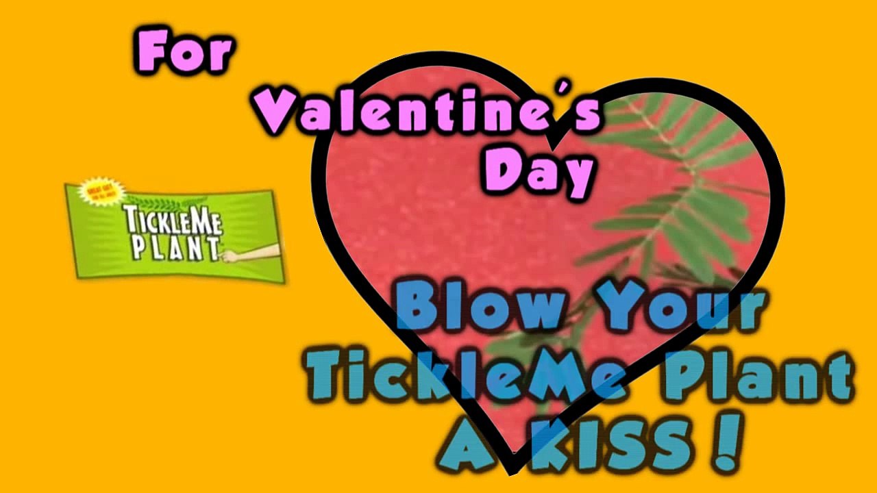 Valentine's Day Kiss-Eccx4DUPYtE