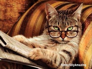 15 Fascinating Little Known Cat Facts ★★★-S2uAqZb7ClI