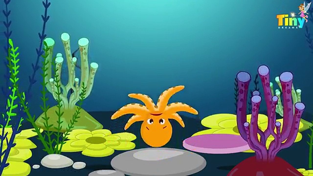 Five Little Octopus | Nursery Rhymes for Kids