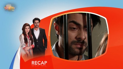Apnay - Episode#65 - Complete - 20 Jan,2017 - SEE TV